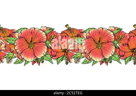 Hand gezeichnet bunte Hibiskus Blumen nahtlose Bruscheblüten. Florale, endlose Ränder. Isoliert auf weißem Hintergrund. Vektor Stock Vektor