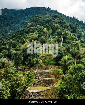 Die verlorene Stadt oder Ciudad Perdida von Kolumbien, Südamerika Stockfoto
