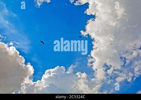 Ein eineingleisiger Gleitschirmsportler, der hoch in den Wolken mit Vögeln fliegt. Stockfoto