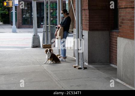 Frau hält Papiertasche mit Hund Stockfoto