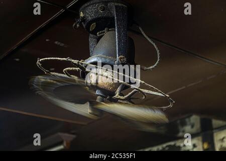 Staubiger Deckenventilator in der Katsuobushi-Manufaktur von Yasuhisa Serizawa in Nishiizu-Cho, Shizuoka, Japan Stockfoto