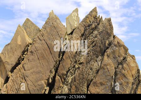 Felsen am Strand bei Ebbe in der Küstenstadt Ilfracombe an der Küste von Nord-Devon Stockfoto