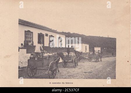 Indústria de Lacticios da ilha Terceira, 11, Arquivo de Villa Maria, Angra do Heroísmo, ilha Terceira, Açores. Stockfoto