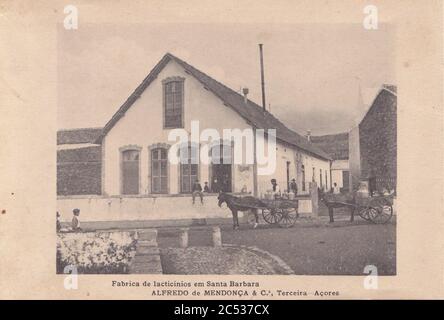 Indústria de Lacticios da ilha Terceira, 12, Arquivo de Villa Maria, Angra do Heroísmo, ilha Terceira, Açores. Stockfoto