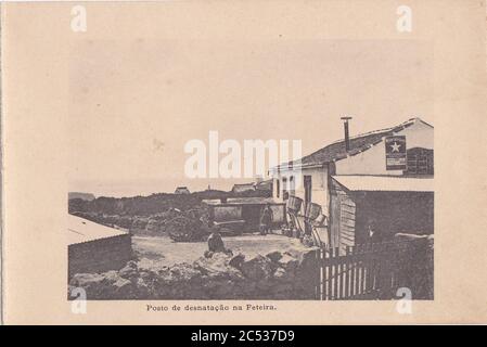 Indústria de Lacticios da ilha Terceira, 10, Arquivo de Villa Maria, Angra do Heroísmo, ilha Terceira, Açores. Stockfoto