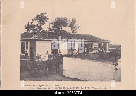 Indústria de Lacticios da ilha Terceira, 8, Arquivo de Villa Maria, Angra do Heroísmo, ilha Terceira, Açores. Stockfoto