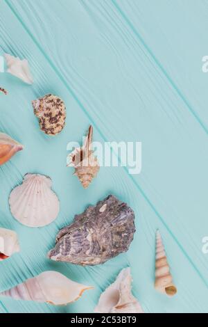Bunte Muscheln auf blauem Hintergrund mit Kopierraum. Stockfoto