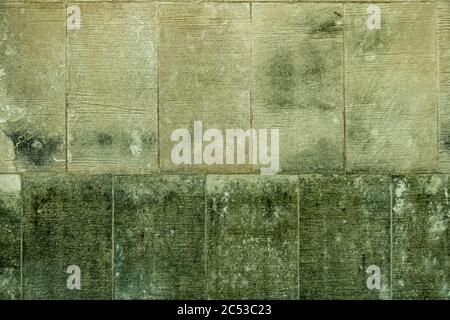 Grunge Zunder Block Wand mit Flecken von grünem Schimmel. Stockfoto