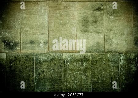 Grunge Zunder Block Wand mit Flecken von grünem Schimmel. Stockfoto