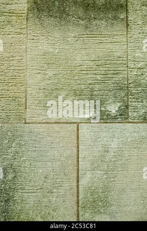 Grunge Zunder Block Wand mit Flecken von grünem Schimmel. Stockfoto