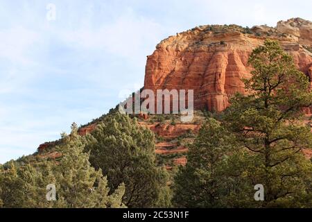 Hohe Evergreen Bäume vor einem roten Sandsteinberg auf dem Devil's Bridge Trail in Sedona, Arizona, USA Stockfoto