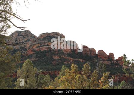 Zypressen und Manzanita Bäume vor roten Sandsteinbergen auf Devil's Bridge Trail in Sedona, Arizona, USA Stockfoto