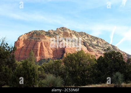 Zypressen und Manzanita Bäume vor roten Sandsteinbergen auf Devil's Bridge Trail in Sedona, Arizona, USA Stockfoto
