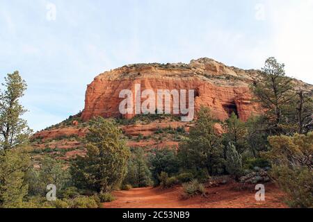 Red Dirt, Devil's Bridge Trail gesäumt von Manzanita und Zypressen und Sträuchern mit einem Berg im Hintergrund in Sedona, Arizona, USA Stockfoto