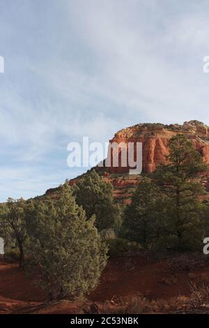 Zypressen entlang des Red Dirt Devil's Bridge Trail mit einem roten Sandsteinberg im Hintergrund in Sedona, Arizona, USA Stockfoto