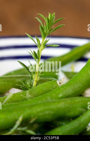 Salat aus grünen Bohnen Stockfoto