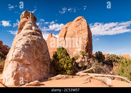 USA, Utah, Arches National Park, Devils Garden, Felsformationen, Pfad Stockfoto