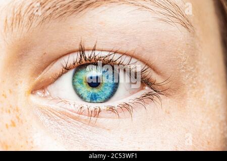 Nahaufnahme eines weiblichen Auges mit blauer Iris Stockfoto