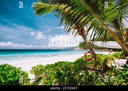 Tropische Szene aus Bambus Rahmen am weißen Sandstrand, türkisfarbene Ozean Lagune. Urlaub im Paradies. mahe Island, Seychellen. Stockfoto