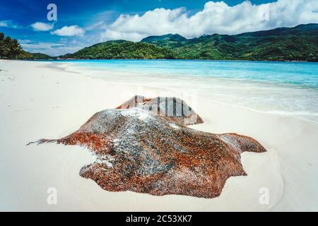 Tropische Lagune mit Granitfelsen im türkisfarbenen Wasser und einem unberührten weißen Sand Seychellen. Stockfoto