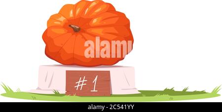 Erster Platz Kürbis semi flach RGB-Farbvektor Illustration Stock Vektor