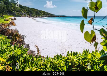 Petite Anse Paradise Strand Sommerurlaub Vibes von grünem Laub eingerahmt. La Digue Insel, Seychellen. Stockfoto