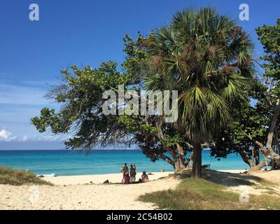 Strand in Varadero Kuba Stockfoto