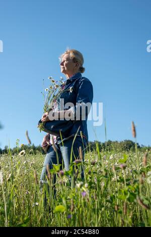 Eine ältere 65-jährige Frau im Denim-Anzug steht auf einem Kamillenfeld. Stockfoto