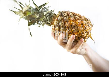 Hand hält große Ananas auf weißem Hintergrund Stockfoto