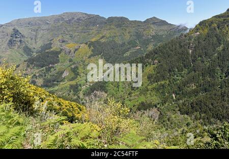 Wandern in den Pico Grande Bergen auf Madeira Stockfoto