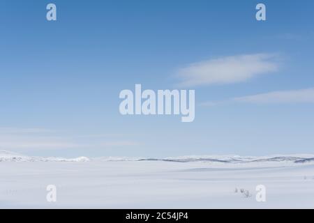 Winterlandschaft, Sennaland, Nord, Norwegen, Nordnorwegen, Winter, Schnee, kalt, blauer Himmel, Tageslicht, Wildnis, wild, still, Stille, Stockfoto