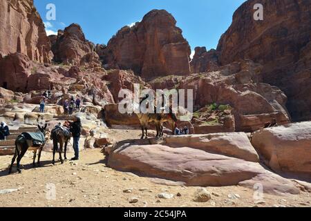 PETRA, JORDANIEN - APR 2, 2015: Nabatäer Hauptstadt. Nicht identifizierter Einheimischer auf einem Kamel wartenden Touristen. Petra's Tempel, Gräber, Theater und andere BU Stockfoto