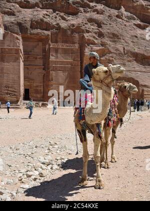 PETRA, JORDANIEN - APR 2, 2015: Nabatäer Hauptstadt. Nicht identifizierter Einheimischer auf einem Kamel wartenden Touristen. Petra's Tempel, Gräber, Theater und andere BU Stockfoto