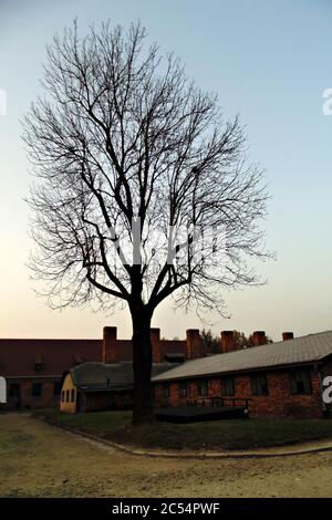 Arama Sonuçları Web sonuçları Auschwitz Birkenau. Konzentrationslager. Polen Europa. Stockfoto