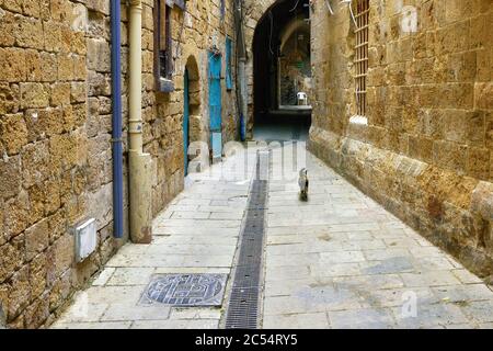 Schmale Straße im arabischen Viertel der Altstadt von Akko, Israel Stockfoto