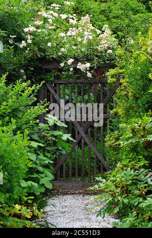 Ein kiesweg in einem romantischen Cottage Garten im Frühjahr
