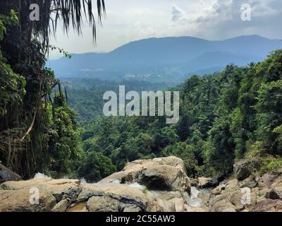 Naturlandschaft aus einem Dschungel in Koh Samui Thailand Stockfoto