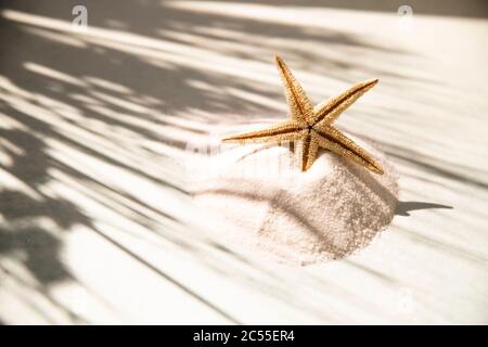 Einen Seesternen am Strand zu sehen ist das größte Wunder. Sonne und Strand. Stockfoto