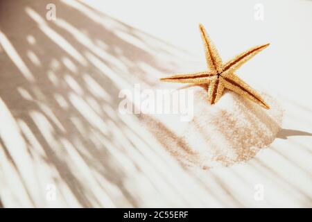 Einen Seesternen am Strand zu sehen ist das größte Wunder. Sonne und Strand. Stockfoto