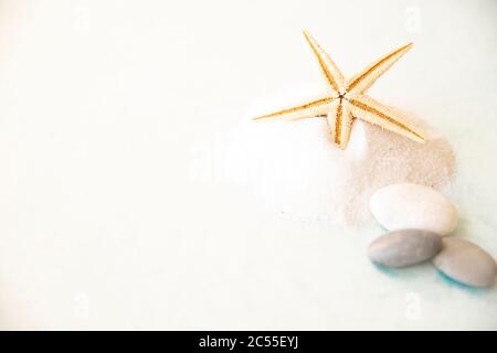 Einen Seesternen am Strand zu sehen ist das größte Wunder. Sonne und Strand. Stockfoto