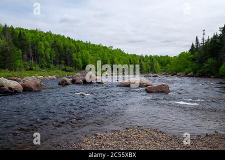 Ein Fluss mit großen Felsbrocken, die überall verstreut sind. Es gibt große grüne Bäume auf beiden Seiten des Baches mit grauen Wolken am Himmel. Stockfoto