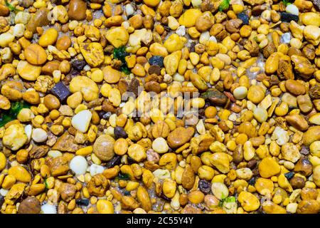 Abstrakter Hintergrund mit Kieselsteinen und Wasser. Nahaufnahme. Stockfoto
