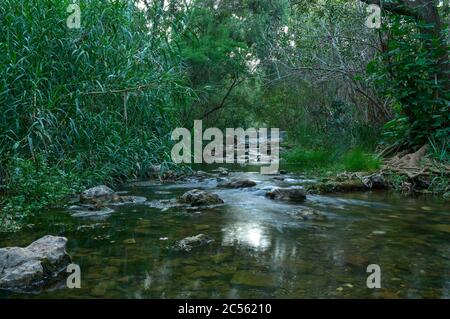 Fonte da Benemola Flusslandschaft in Querenca. Loule, Algarve, Portugal Stockfoto