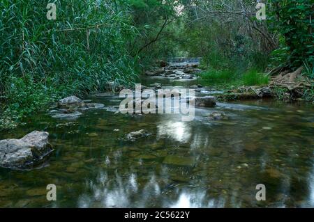 Fonte da Benemola Flusslandschaft in Querenca. Loule, Algarve, Portugal Stockfoto