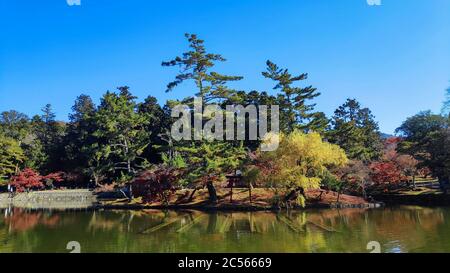 Herbst Blick von Kagami Ike (Spiegel Teich) mit Itsukushima Schrein unter ahorn rot Blätter in Nara Park Stockfoto