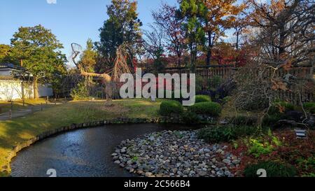 Koko-en Garden in Himeji in Japan. Koko-en ist ein japanischer Garten neben dem Himeji Schloss Stockfoto