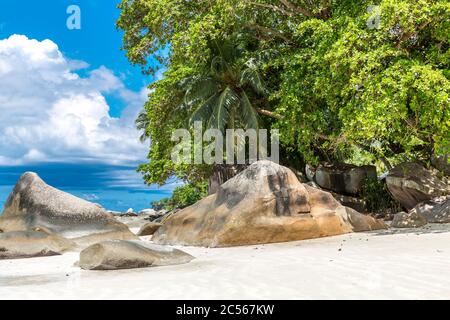 Granitfelsen am Strand von Beau Vallon, Mahé Island, Seychellen, Indischer Ozean, Afrika Stockfoto