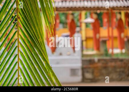 Viele Statuen buddhistischer Mönche stehen in einer langen Linie an einer Wand, Sri Lanka Stockfoto