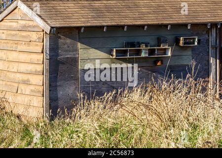 Grauer Holzschuppen aus alten Brettern im Freien in trockenem Gras an einem sonnigen Tag. Stockfoto