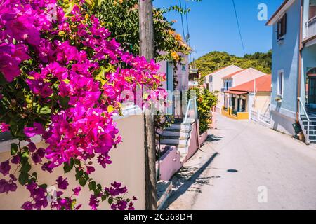 Magentafarbene Blumen auf dem Gehweg in einem kleinen mediterranen Dorf. Traditionelles griechisches Haus auf der Straße mit großen Bougainvillea-Blumen. Stockfoto